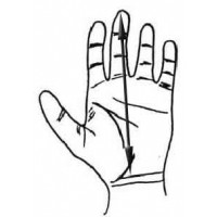 hand-measure.jpg