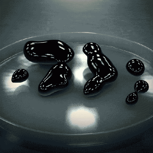 Sambia ADV Glove by Held